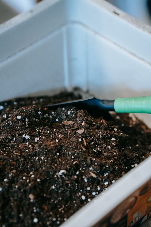 Dicas para Iniciantes em Compostagem Doméstica